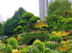 Ogród, Ozdobne, Żywopłoty, Chiny