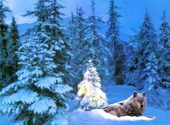 Wilk, Choinka, Śnieg