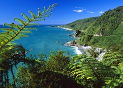 Morze Góry, Zieleń, Nowa Zelandia