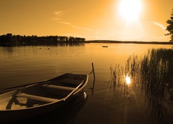 Jezioro, Zarośla, Słoneczko, Łódka