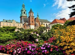 Zamek, Wawel, Kraków, Polska