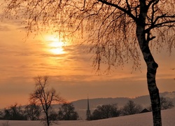 Pola, Drzewa, Zachód Słońca, Zima
