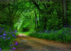 Piękny, Las, Ścieżka, Kwiatki