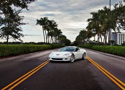 Auto, Chevrolet Corvette, Droga, Palmy