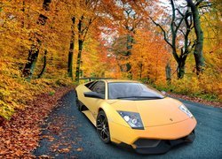 Lamborghini Murcielago, Las, Jesień