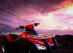 Honda, Quad