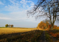 Polna, Droga, Jesień