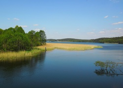 Wiosna, Jezioro, Szuwary