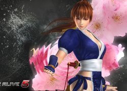 Dead Of Alive 5, Kasumi