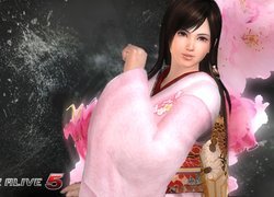 Dead Of Alive 5, Kokoro