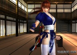 Dead Of Alive 5, Kasumi