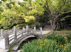 Ogród, Japoński, Mostek, Roślinność, Japonia