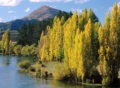 Jezioro, Drzewa, Góry, Wanaka, Nowa Zelandia