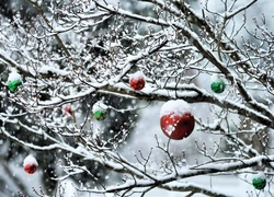 Ośnieżone, Drzewo, Bombki, Świąteczne, Zima