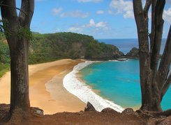 Plaża, Morze, Las, Fernando Noronha, Brazylia