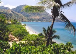 Plaża, Palmy, Morze, Góry, Filipiny