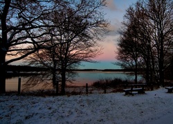 Jezioro, Śnieg, Drzewa