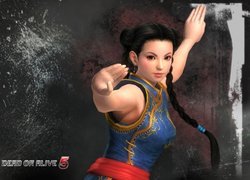 Dead Of Alive 5, Pai