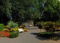 Park, Drzewa, Kwiaty, Ławka