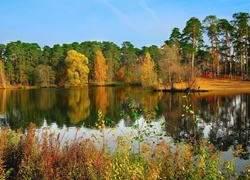 Jesień, Jezioro, Park