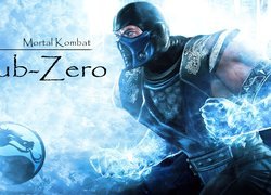 Mortal Kombat, Sub-Zero
