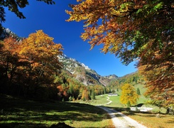 Góry, Droga, Drzewa, Jesień