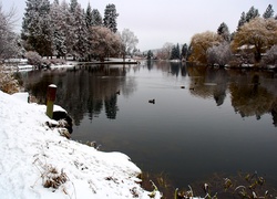 Zima, Jeziorko, Park, Drake, Oregon