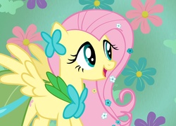 Przyjaźń To Magia, Fluttershy