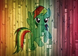 My Little Pony Przyjaźń To Magia, Rainbow Dash