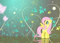 My Little Pony, Fluttershy