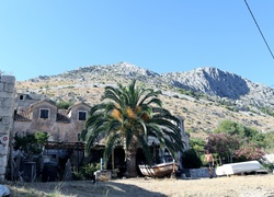 Góry, Dom, Palma, Chorwacja