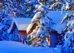Domki, Las, Śnieg, Zima