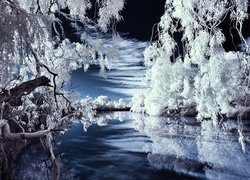 Zimowa, Aura, Rzeka, Drzewa