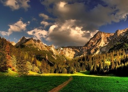 Góry, Las, Chmury