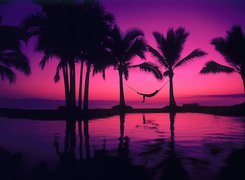Zatoka, Puerta, Vallarta, Meksyk