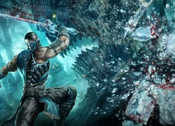 Mortal Kombat, Sub Zero