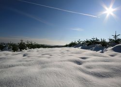 Śnieg, Las, Promienie ,Słońca