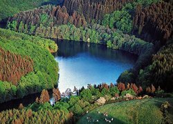 Góry, Jezioro, Lasy