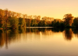 Jezioro, Drzewa, Park