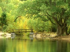 Rzeki, Drzewa, Most