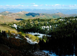 Góry, Lasy, Iglaste