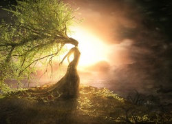 Kobieta, Drzewo, Słońce