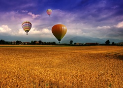 Balony, Pole, Zboże, Chmury