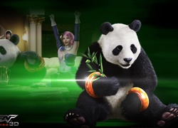 Tekken Blood Vegeance, Panda