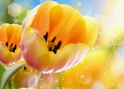 Żółte, Tulipany, Grafika