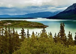 Rzeka, Drzewa, Góry, Yukon, Kanada