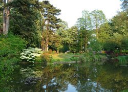 Ogród, Park, Jeziorko