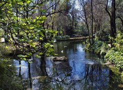 Park, Rzeczka, Zieleń