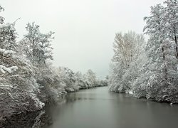 Zima, Rzeka, Oszronione, Drzewa