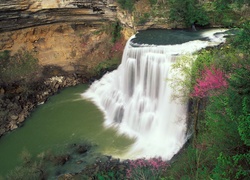 Wodospad, Zarośla, Burgess, Tennessee